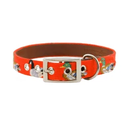 Duck Duck Goose Dog Collar (Orange)