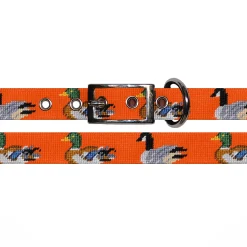 Duck Duck Goose Dog Collar (Orange)