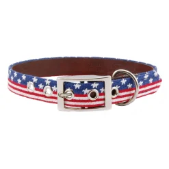 Old Glory Dog Collar